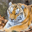 35c1ecd1-de76-4c4e-8d0c-c37f6a265814.jpg - Чугуевский район