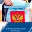 Выборы депутатов Думы Чугуевского муниципального округа 12-14 сентября 2025 года - Чугуевский район