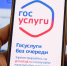 Что делать, если взломали аккаунт на Госуслугах, рассказали приморцам - Чугуевский район